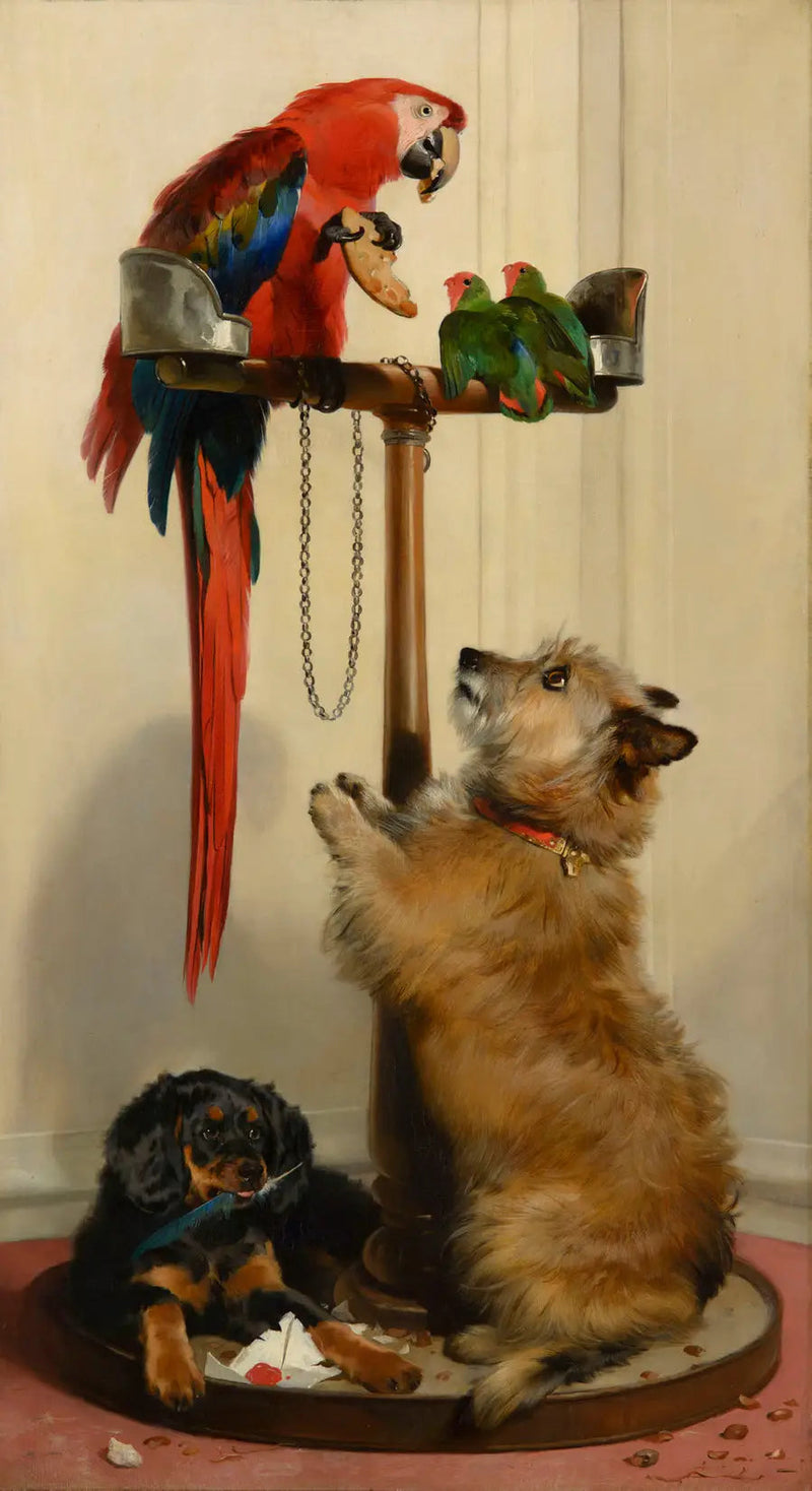 Islay, Tilco, un loro y dos inseparables - Edwin Henry Landseer