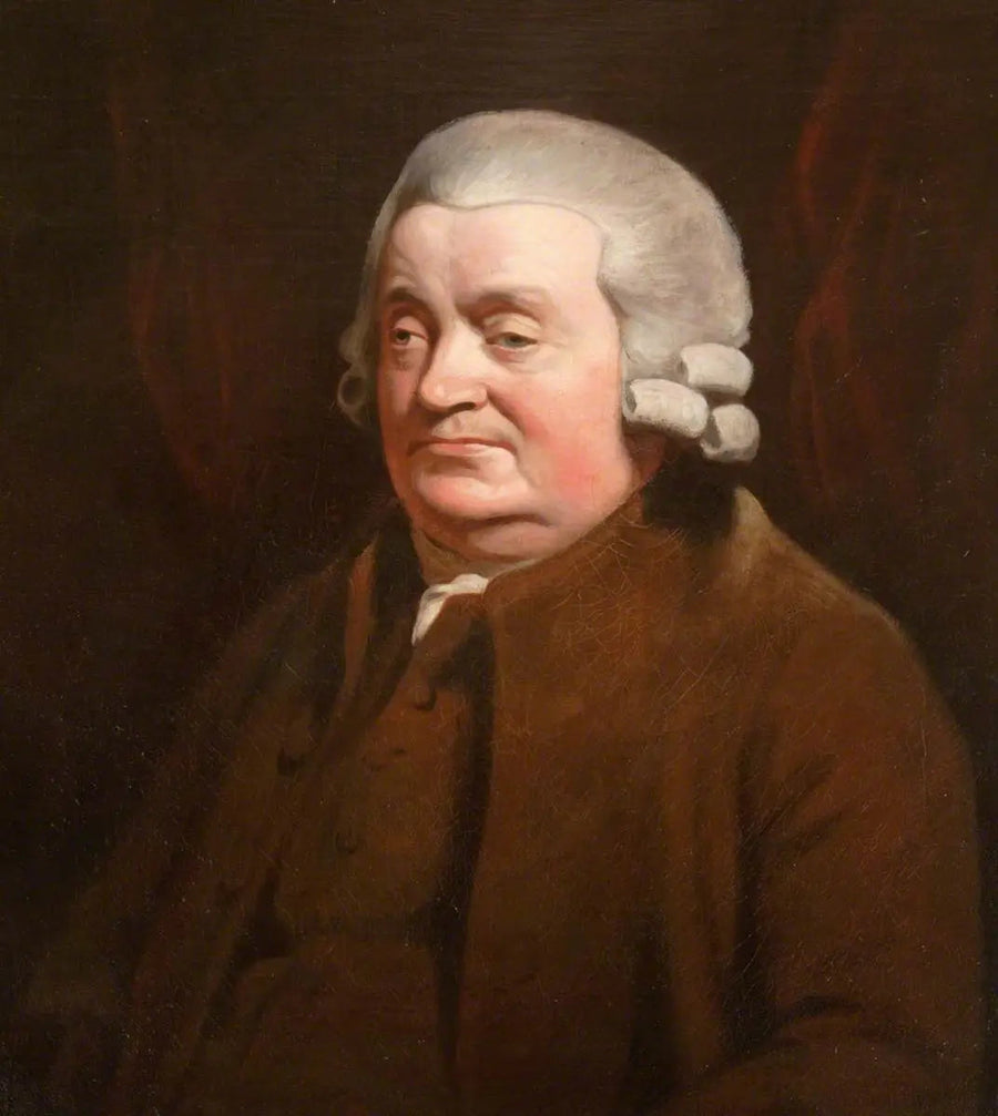James Johnston (1721–1797), cirujano, alcalde de Dundee (1790–1791) - Henry Raeburn