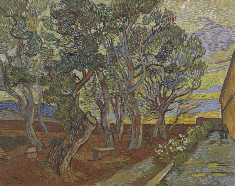 Jardín del Asilo - Vincent van Gogh