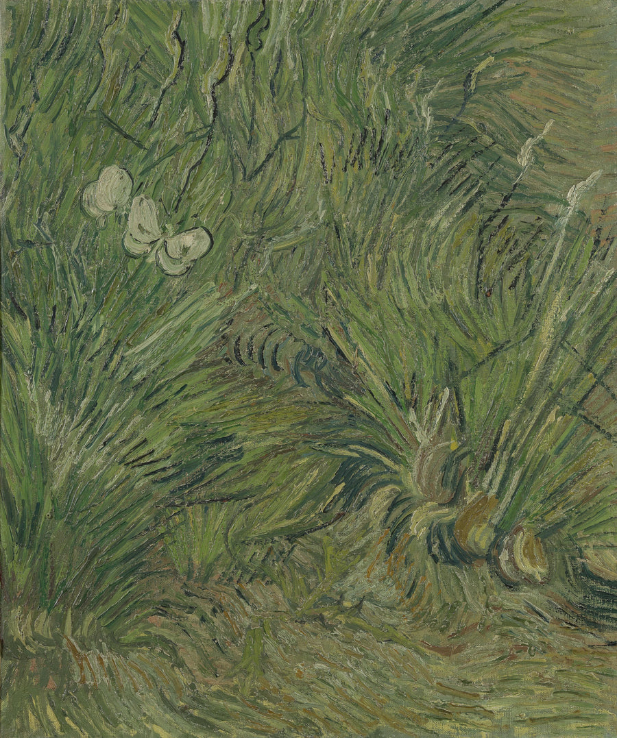 Jardín de las mariposas - Vincent van Gogh