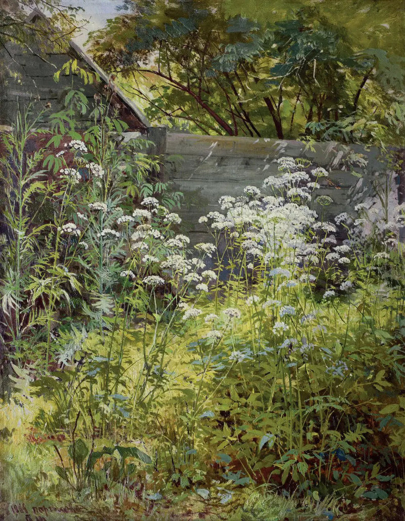Jardín de esquina invadido por la vegetación. Aegopodium - Ivan Chichkine