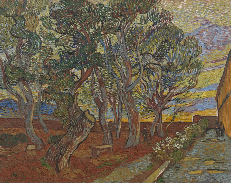 Jardín del Asilo - Vincent van Gogh