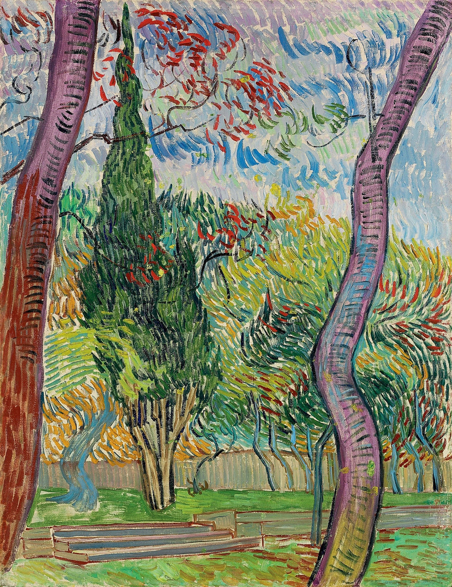 Parque del hospital Saint-Paul - Vincent van Gogh