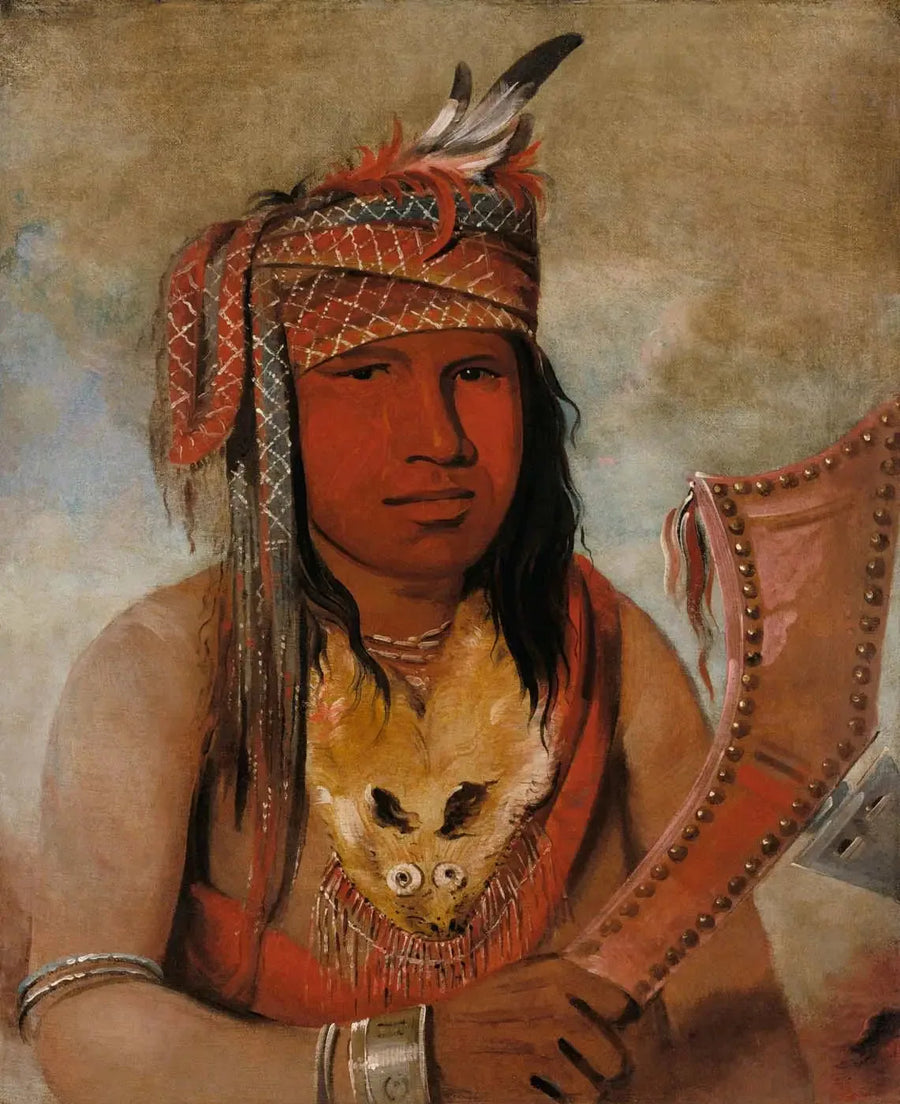 Je-suis-quelque-chose-dick, Caribou macho, un valiente - George Catlin