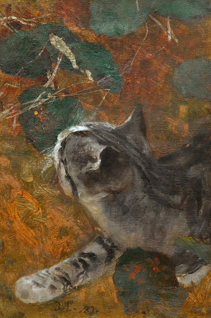 Jeppe el gato - Bruno Liljefors