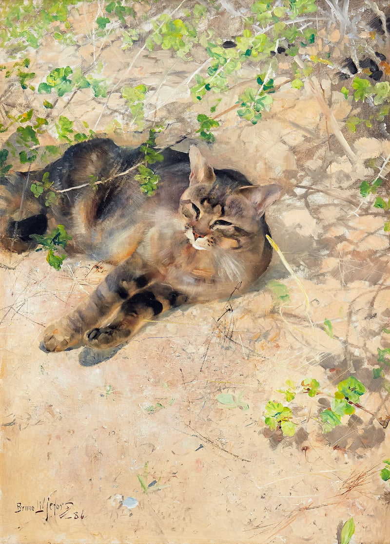 Jeppe, el gato, bajo el sol primaveral - Bruno Liljefors