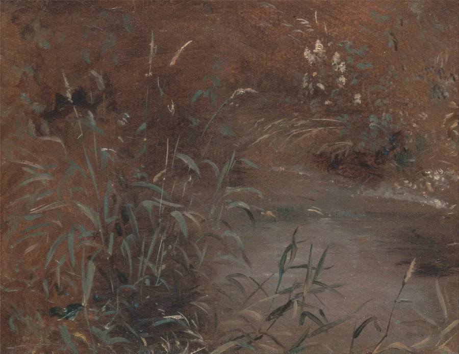 Juncos junto a una piscina - John Constable