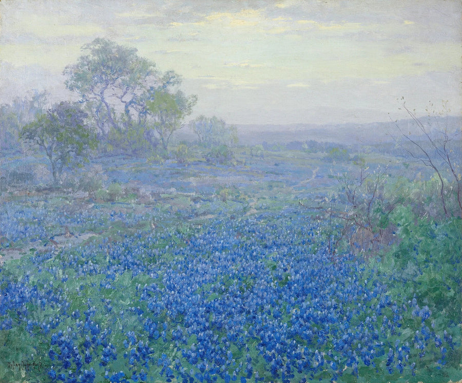 Día nublado, lupinos azules cerca de San Antonio, Texas - Julian Onderdonk