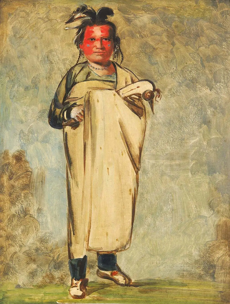Káw-kaw-ne-chóo-a, un valiente - George Catlin