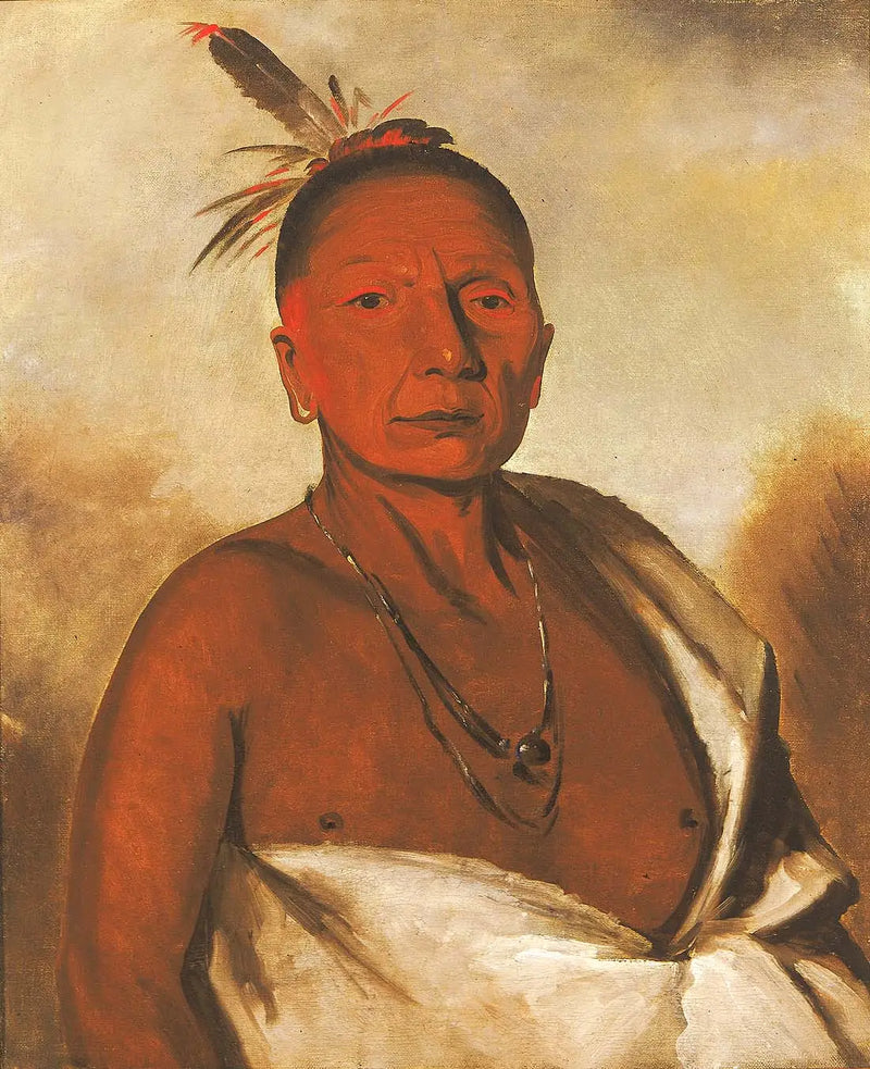 Kid-à-day, un valiente distinguido - George Catlin