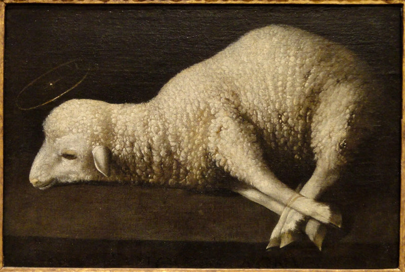 El Cordero de Dios - Francisco de Zurbarán