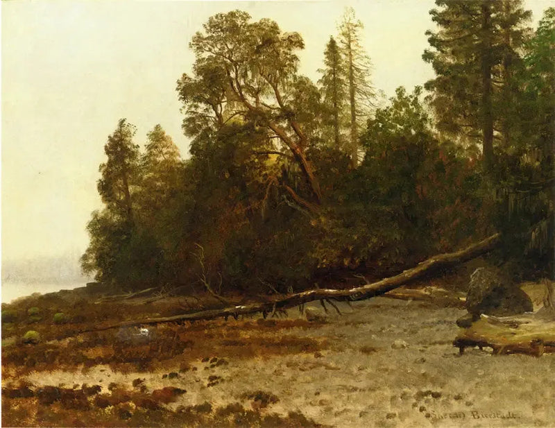 El árbol caído - Albert Bierstadt