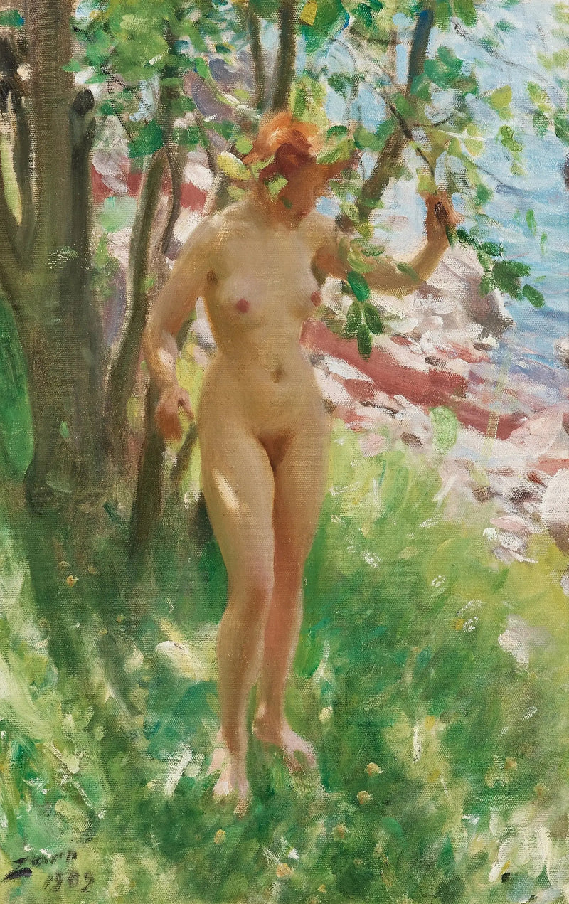 La Sombra - Anders Zorn