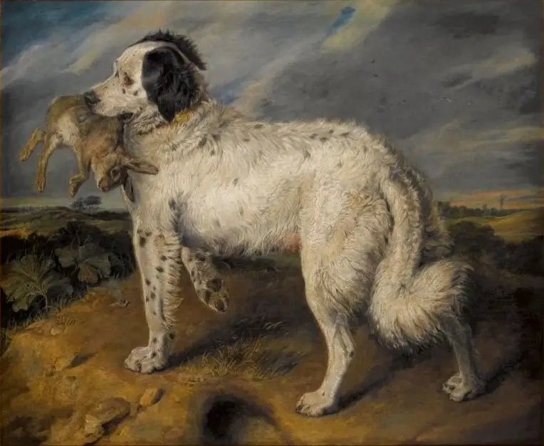La Campeona: Venus - Edwin Henry Landseer