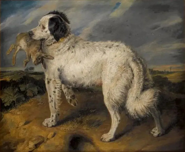 La Campeona: Venus - Edwin Henry Landseer