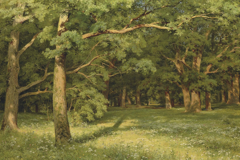La claro del bosque - Ivan Chichkine