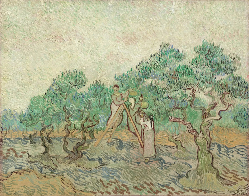 La Recolección de las aceitunas - Vincent van Gogh