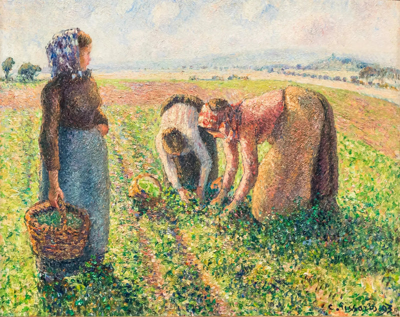 La recolección de los guisantes, Éragny - Camille Pissarro