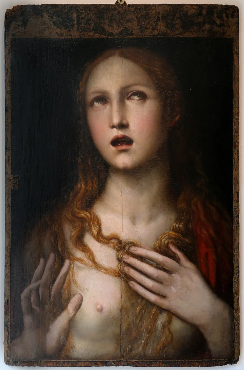 Q117777120 - El Sodoma (Giovanni Antonio Bazzi)