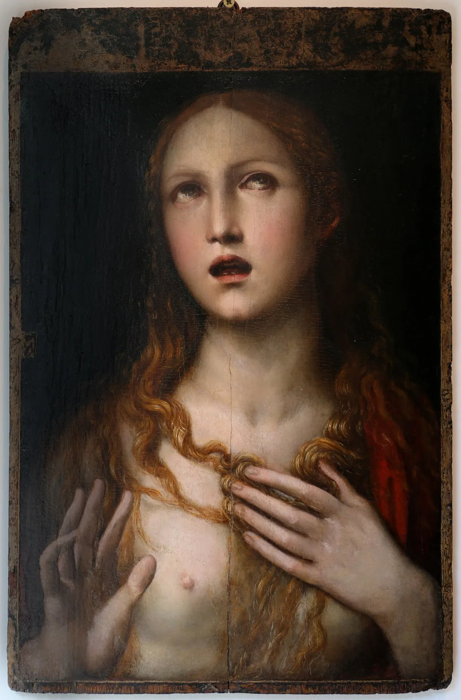 Q117777120 - El Sodoma (Giovanni Antonio Bazzi)
