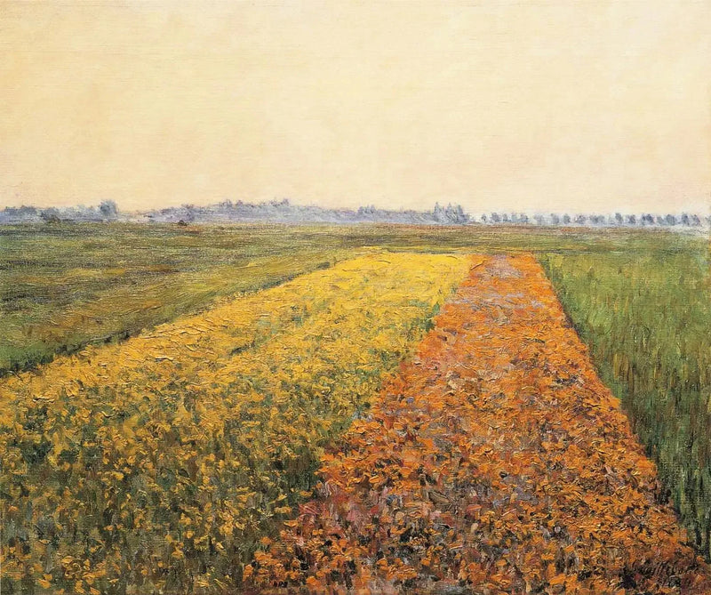 La llanura de Gennevilliers, Campos amarillos - Gustave Caillebotte