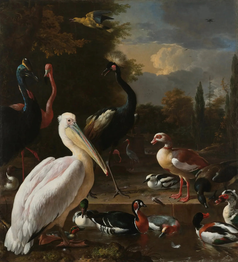 La pluma flotante - Melchior de Hondecoeter