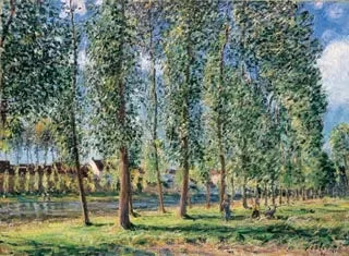 La fila de álamos en Moret - Alfred Sisley