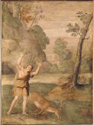 La transformation de Cyparissus - Domenichino image 1 copie de tableau peinte à la main