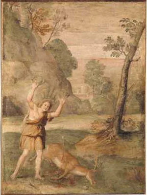 La transformación de Cyparisso - Domenichino