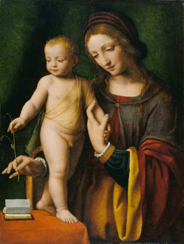 La Virgen con el Niño con una acónita - Bernardino Luini