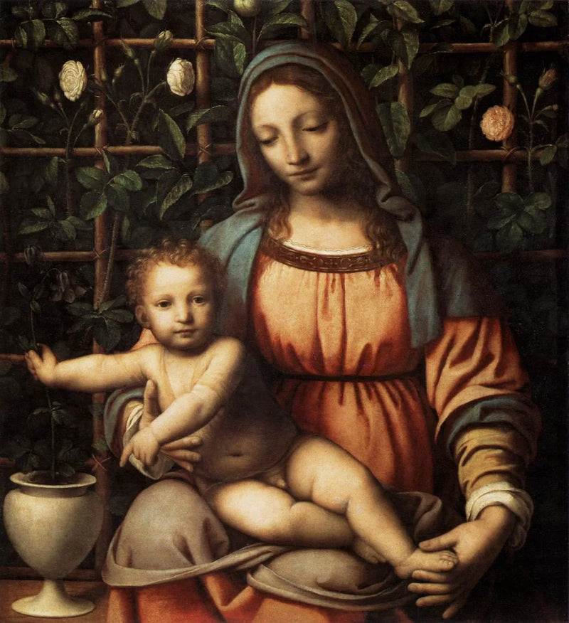 La Virgen en el rosal - Bernardino Luini