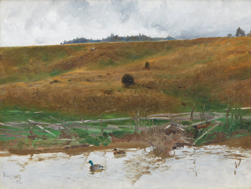 Lago con patos - Bruno Liljefors