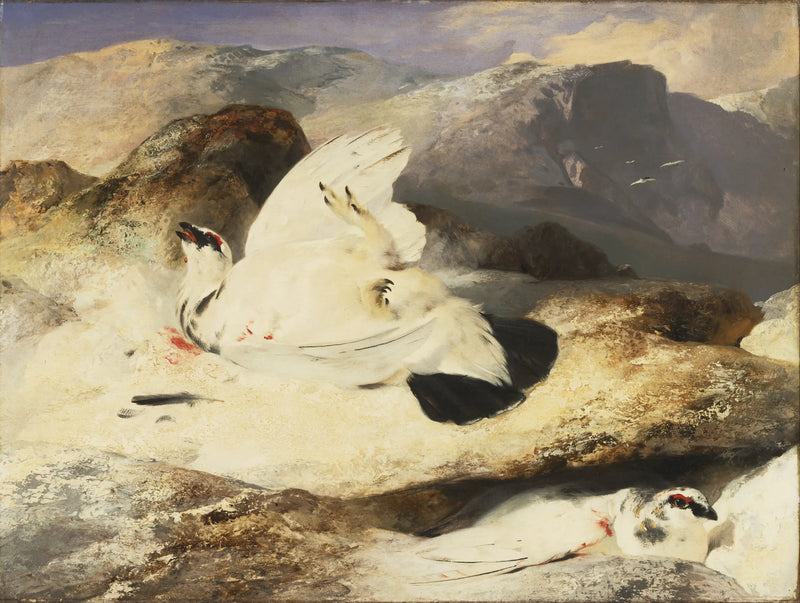Lagópodo en un paisaje - Edwin Henry Landseer