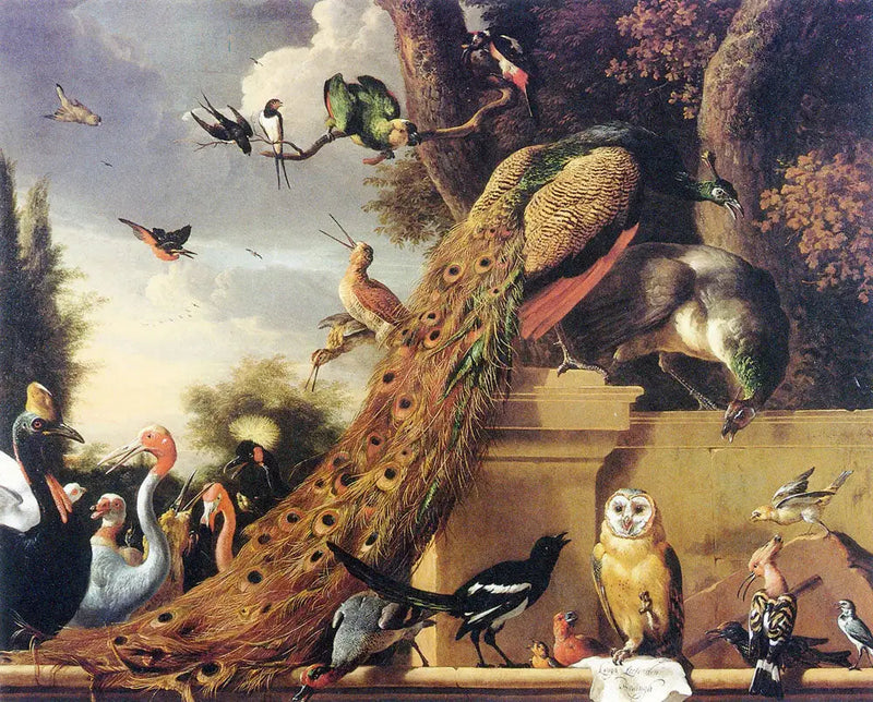 Langh salió de Den Koningh, o el concierto de los pájaros - Melchior de Hondecoeter