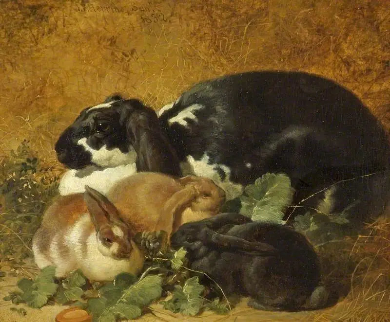 Conejos - John Frederick Herring, Sr.