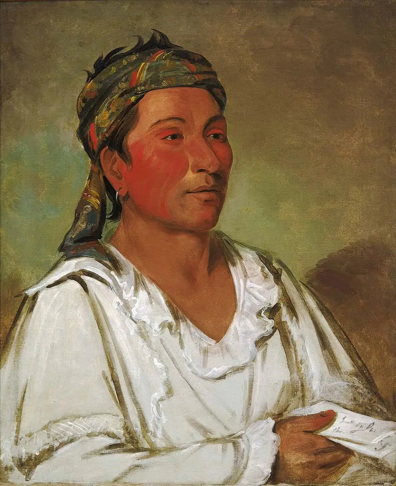 Cama, árbol, arbusto y flor, semi-civilizado - George Catlin