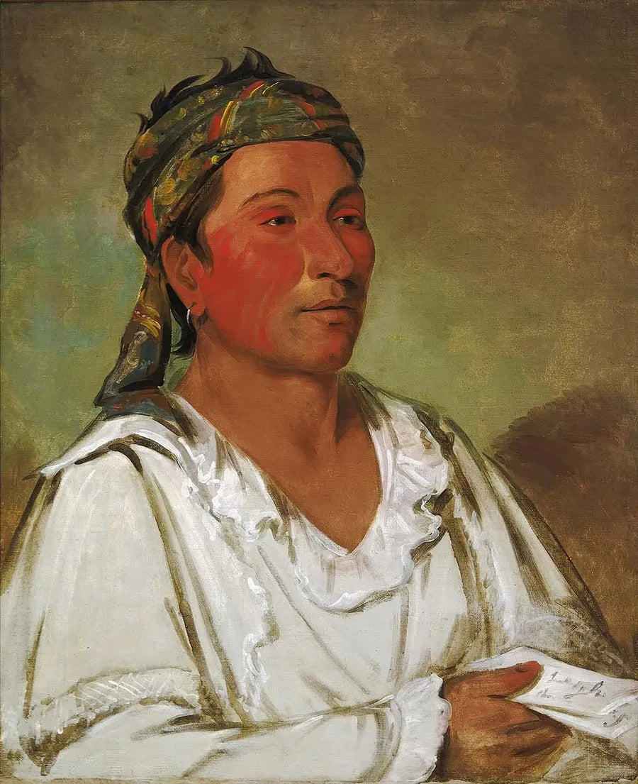 Cama, árbol, arbusto y flor, semi-civilizado - George Catlin