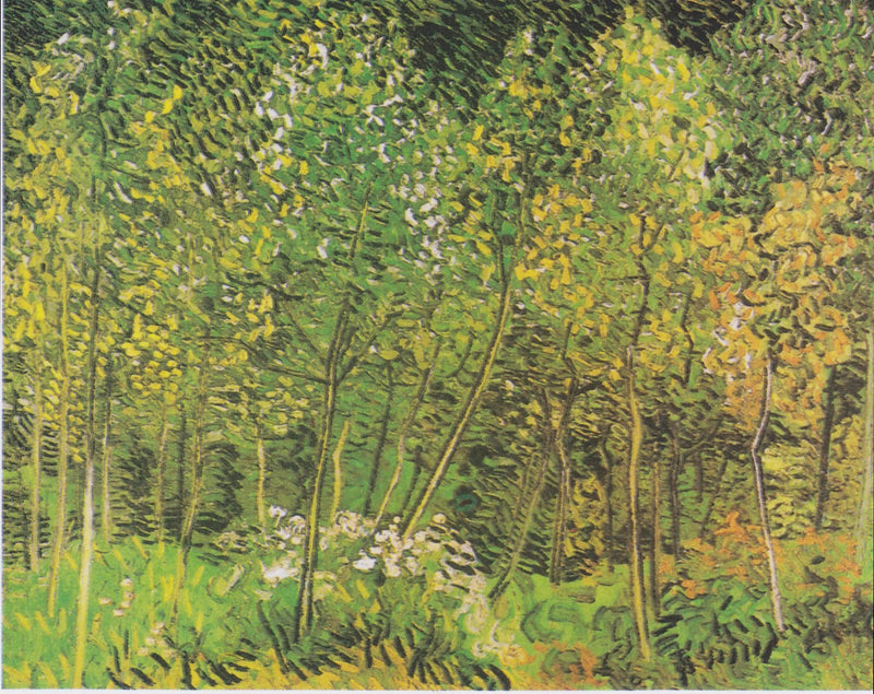 El Bosque - Vincent van Gogh