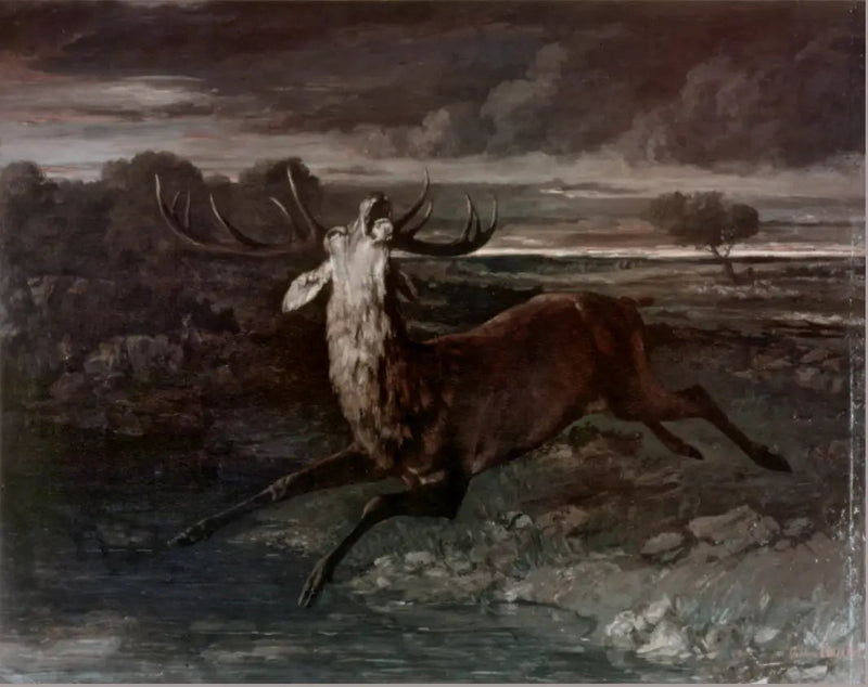 El ciervo en el agua - Gustave Courbet