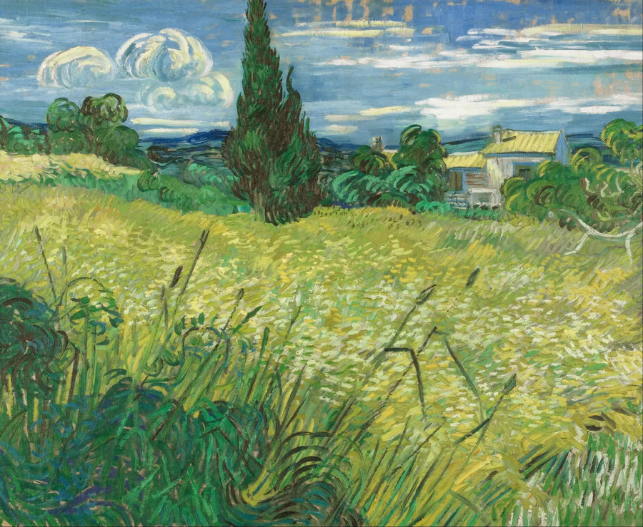El Campo de trigo verde con cipreses - Vincent van Gogh