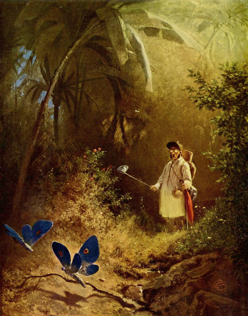 El cazador de mariposas - Carl Spitzweg