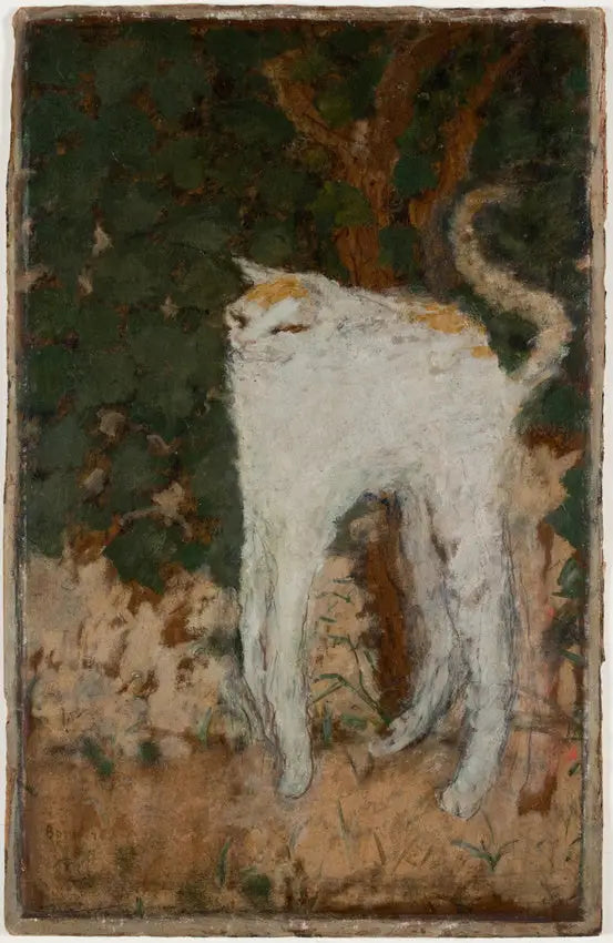 El Gato Blanco - Pierre Bonnard