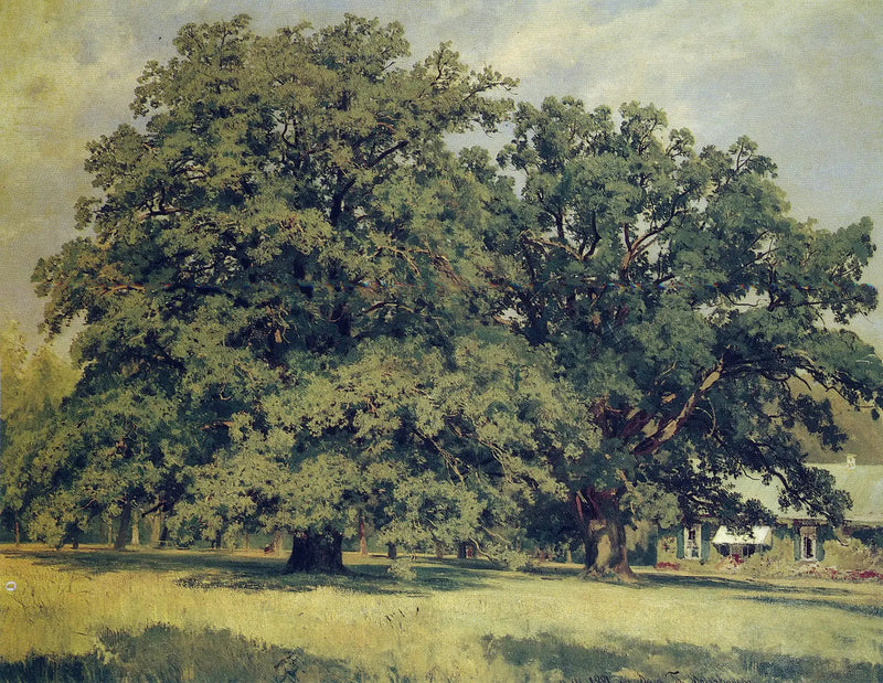 El roble de Mordvinovo - Ivan Chichkine