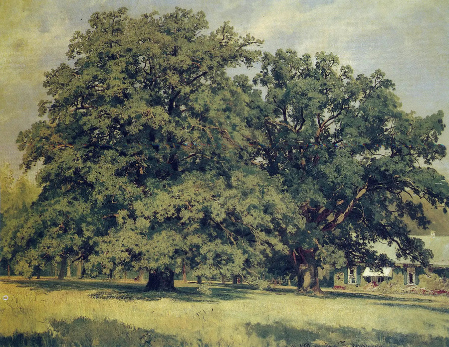 El roble de Mordvinovo - Ivan Chichkine