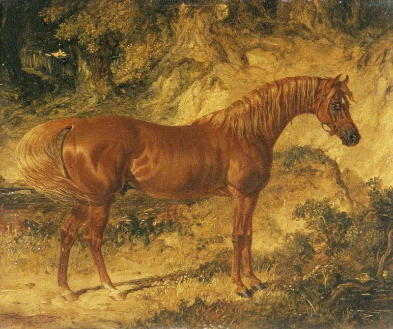 El caballo de carreras « Actéon » - John Frederick Herring, Sr.