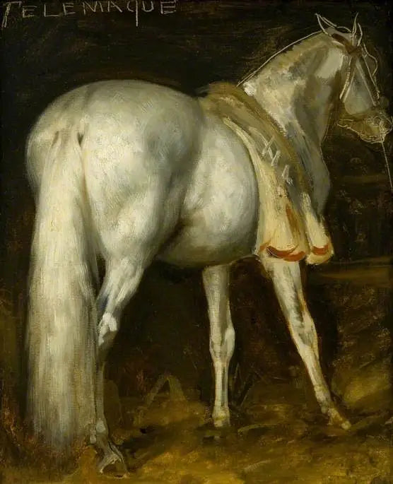 El caballo gris « Telémaco » - Théodore Géricault