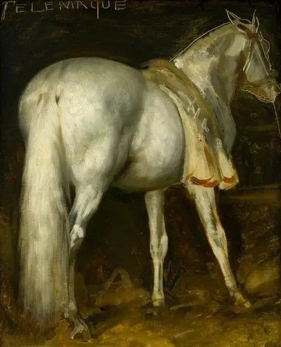 El caballo gris « Telémaco » - Théodore Géricault