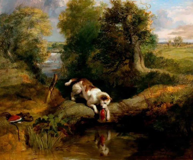 El perro y la sombra - Edwin Henry Landseer