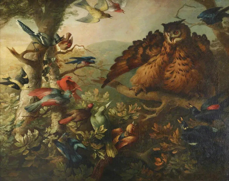 El acoso de un búho mediano-duc por otros pájaros - Tobias Stranover