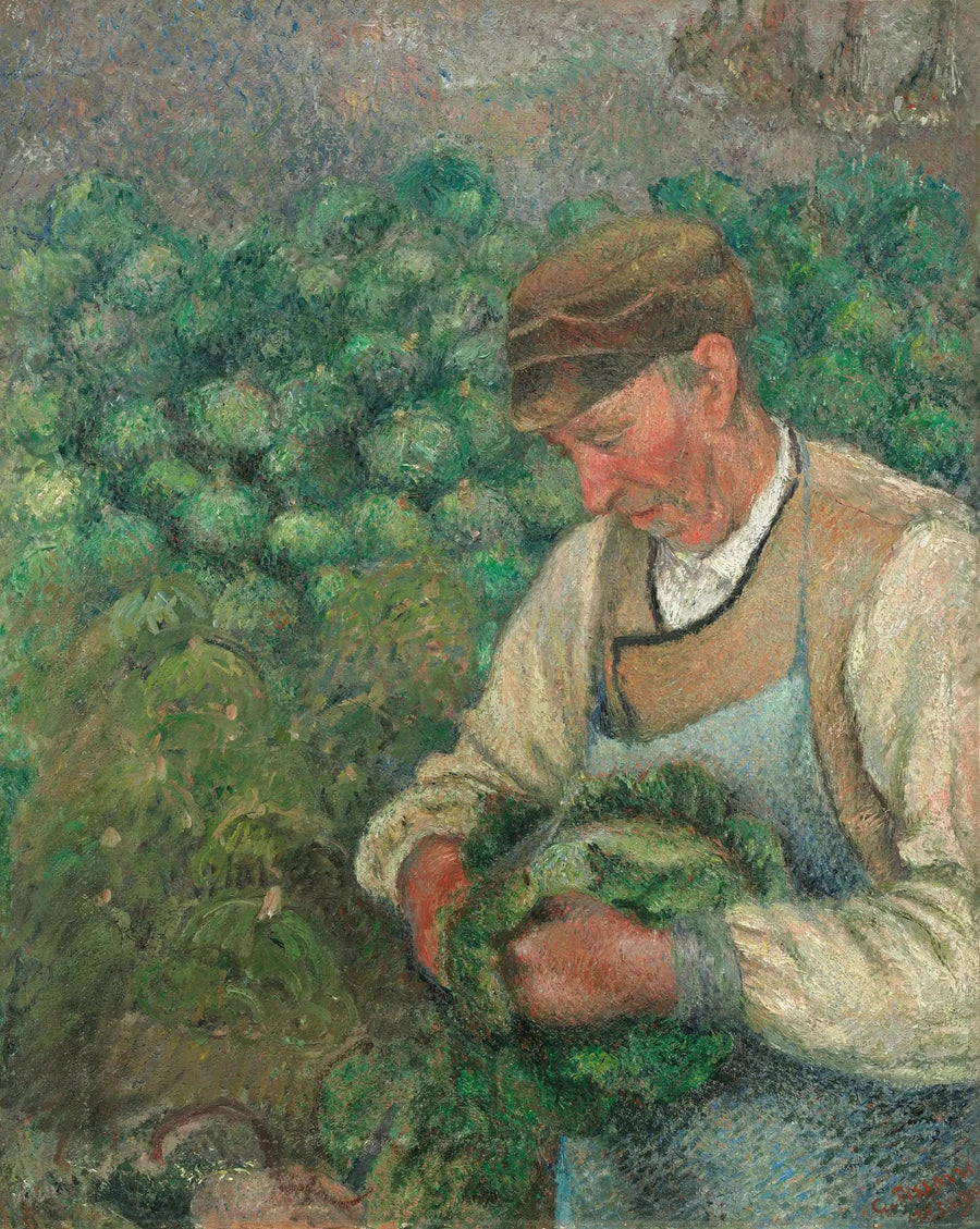 El Jardinero - Viejo Campesino con Col - Camille Pissarro